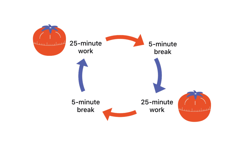 pomo-cycle