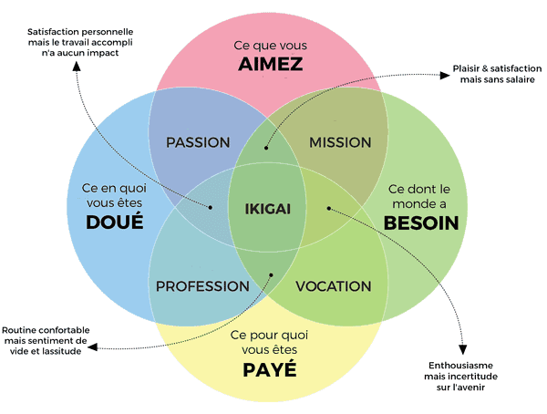schema_ikigai